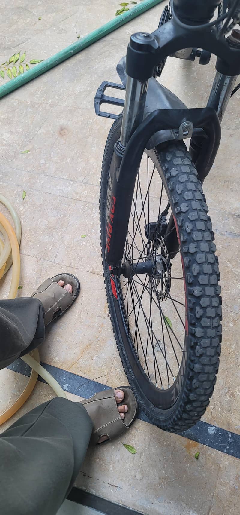 FOX BIKE 1