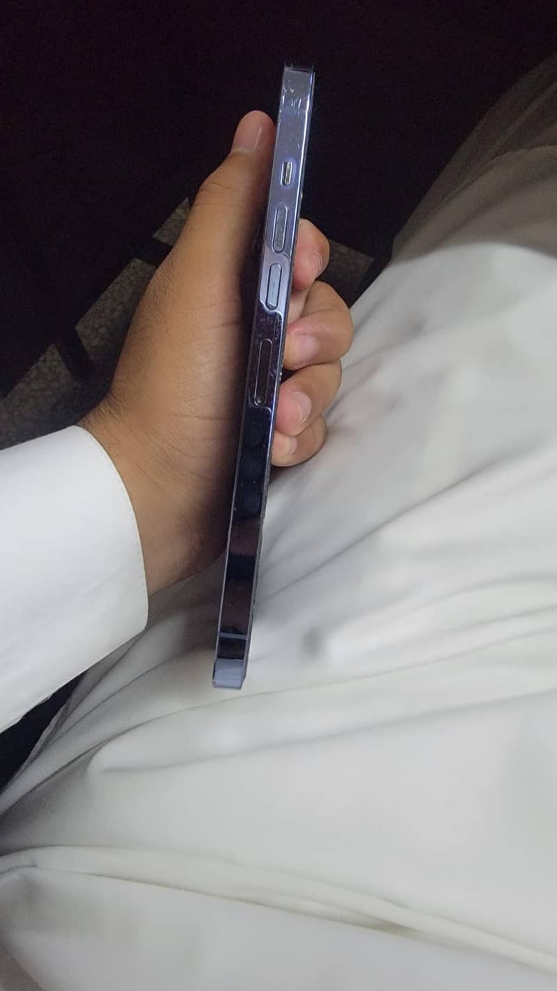 Apple iPhone 13 Pro Max 2