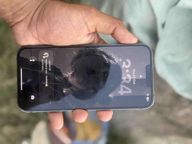 Apple iPhone 13 Pro Max 1