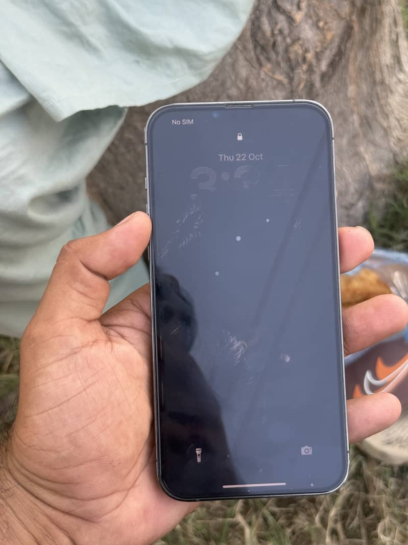 Apple iPhone 13 Pro Max 2