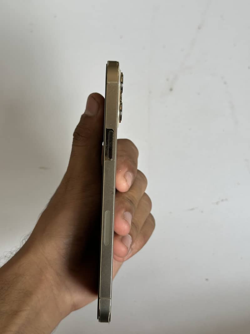 Apple iPhone 12 Pro Max 1