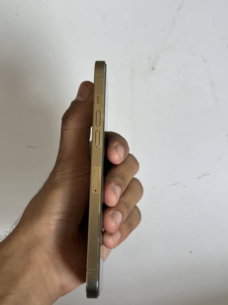 Apple iPhone 12 Pro Max 2