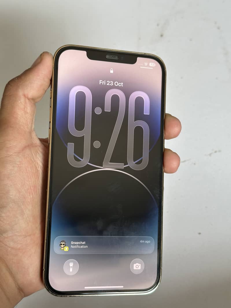 Apple iPhone 12 Pro Max 5