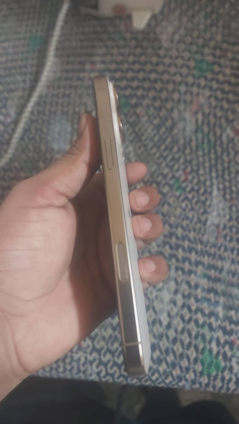 Apple iPhone 16 Pro Max 2