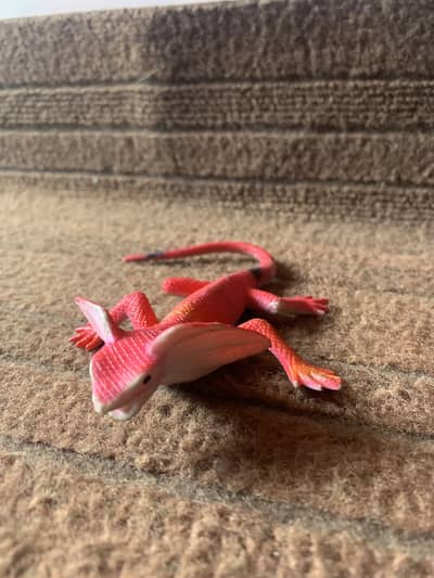 Realistic Red Iguana