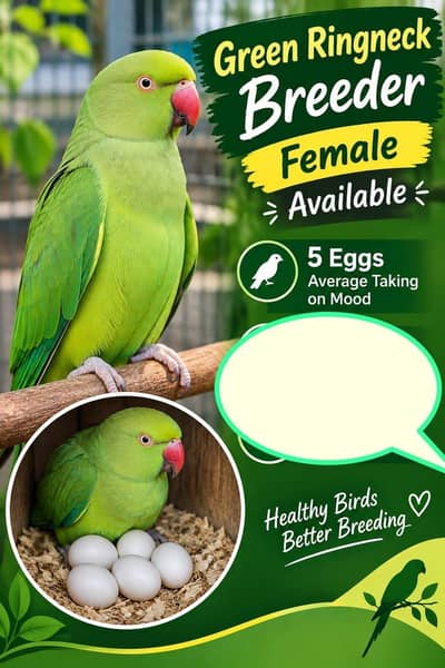 full breeder ha final 3800 breeder ha 4 par breede ke ha 03267651269