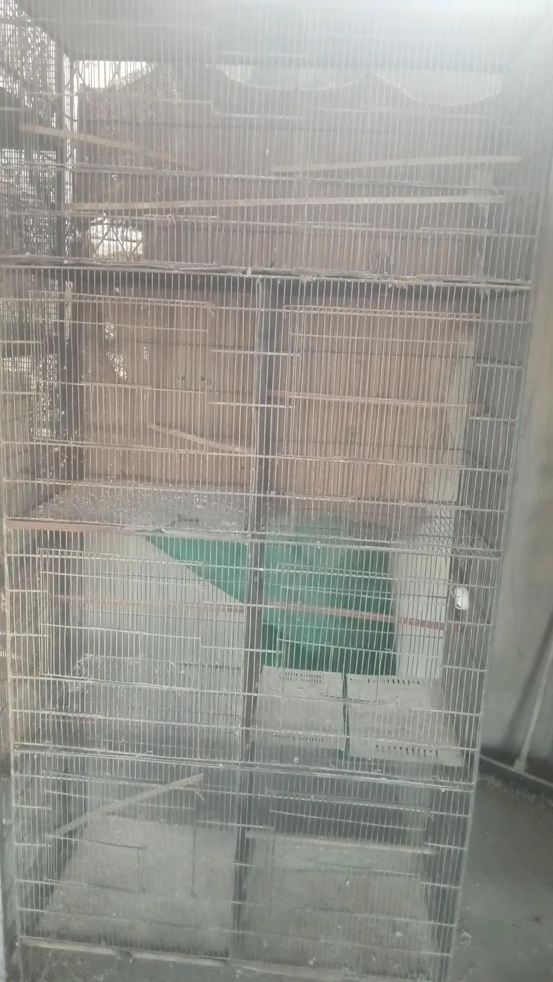 All Cages for sales