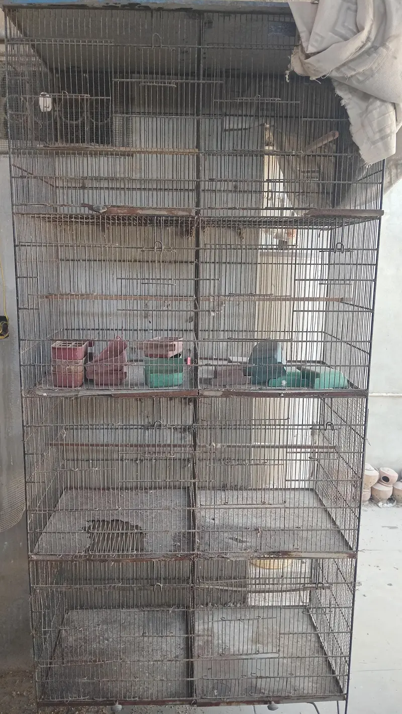 All Cages for sales — photo 3
