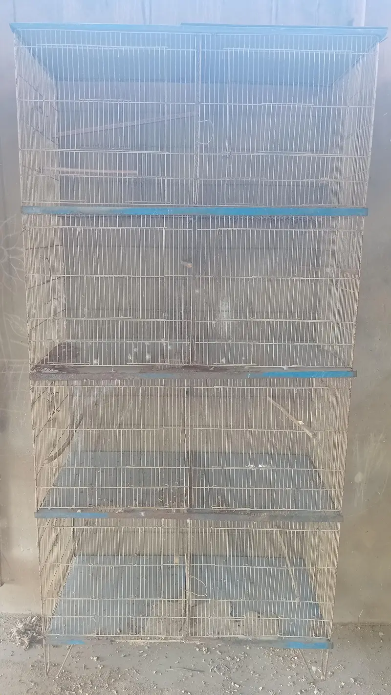 All Cages for sales — photo 4