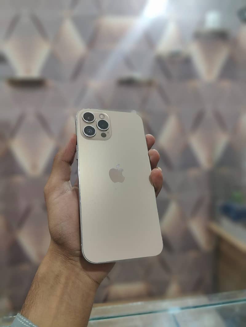 Apple iPhone 12 Pro Max 2