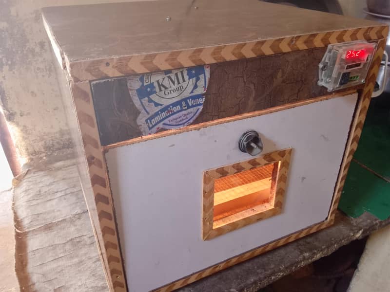 incubator 1