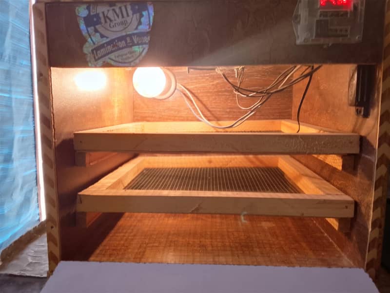 incubator 2
