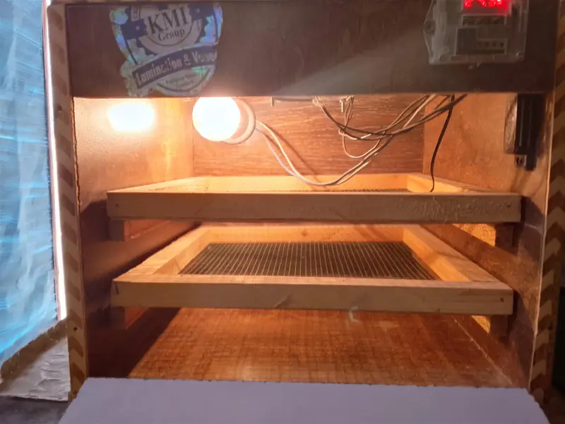 incubator — photo 3