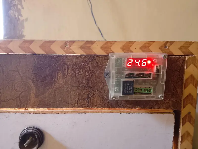 incubator — photo 5