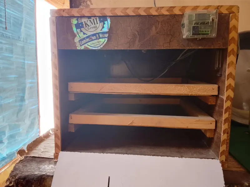 incubator — photo 6