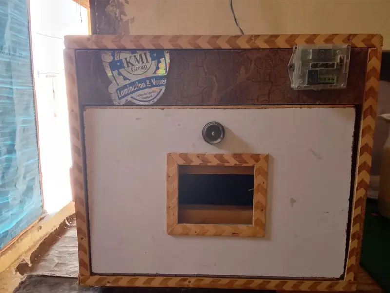 incubator — photo 9