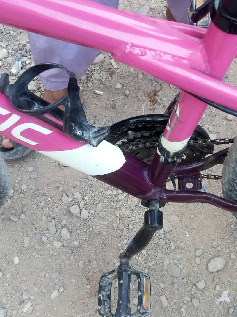 sparts cycle 3