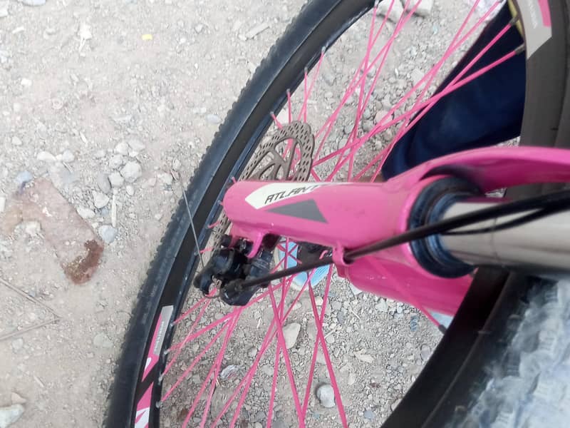 sparts cycle 4