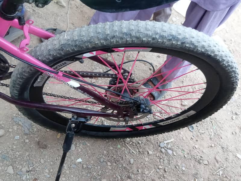 sparts cycle 6