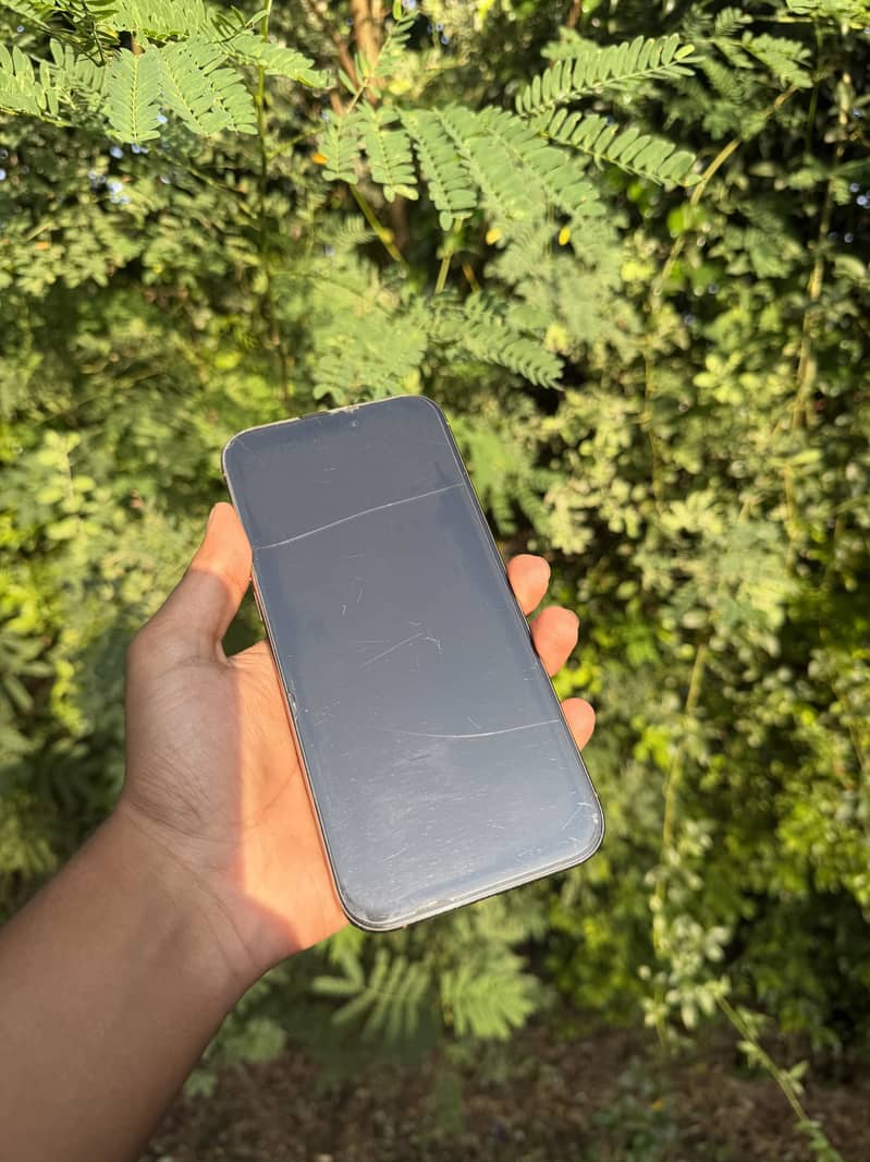 Apple iPhone 16 Pro Max 1