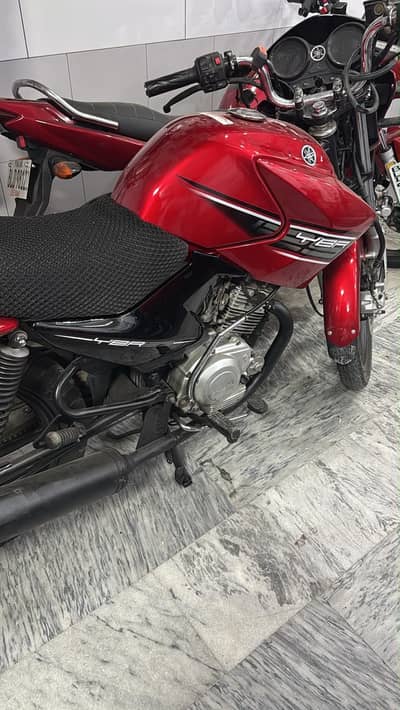 Bick for sale