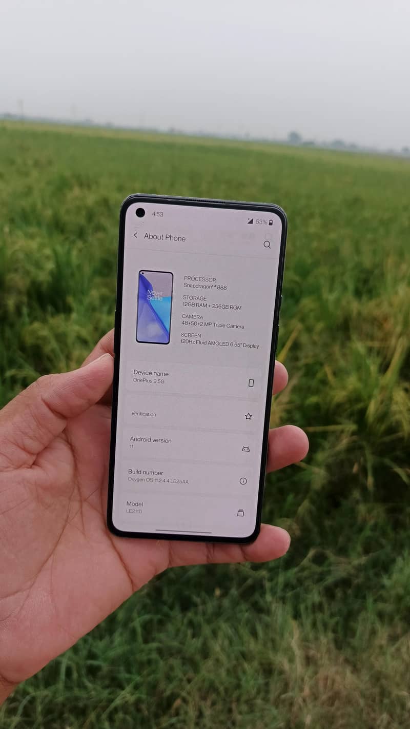 OnePlus 9, 12/256 1