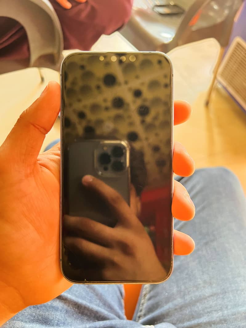 Apple iPhone 13 1