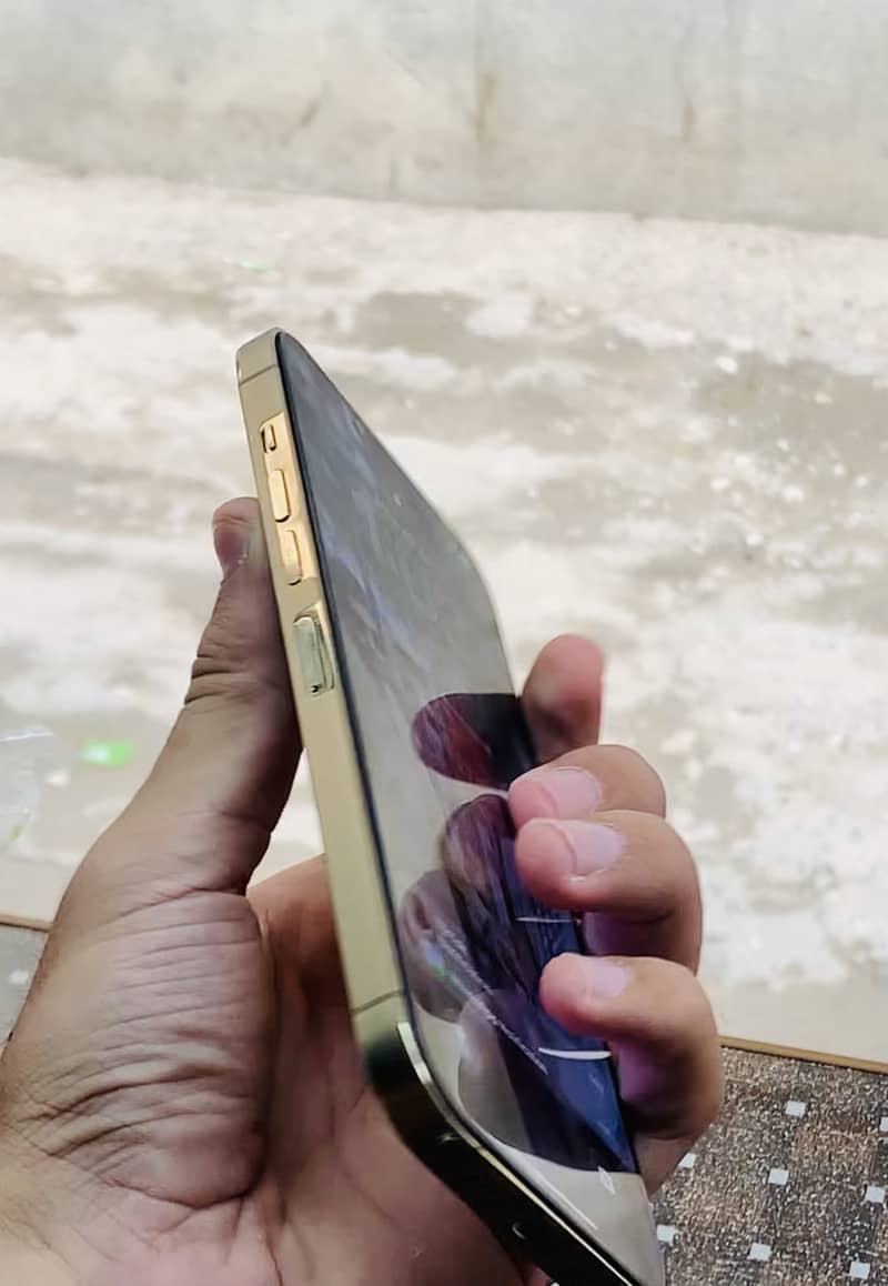 Apple iPhone 13 Pro Max 1