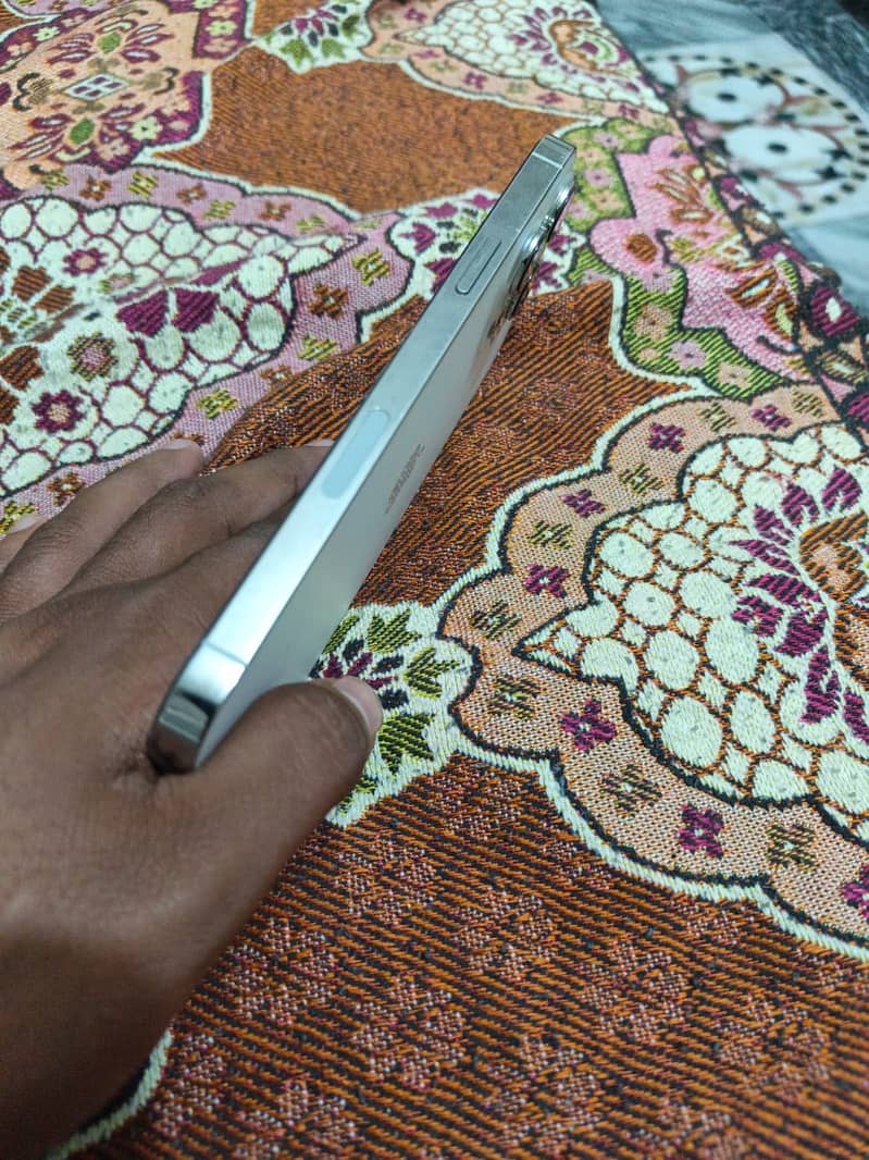 Apple iPhone 13 Pro Max 1