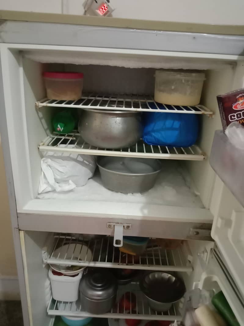 PEL refrigerator 2