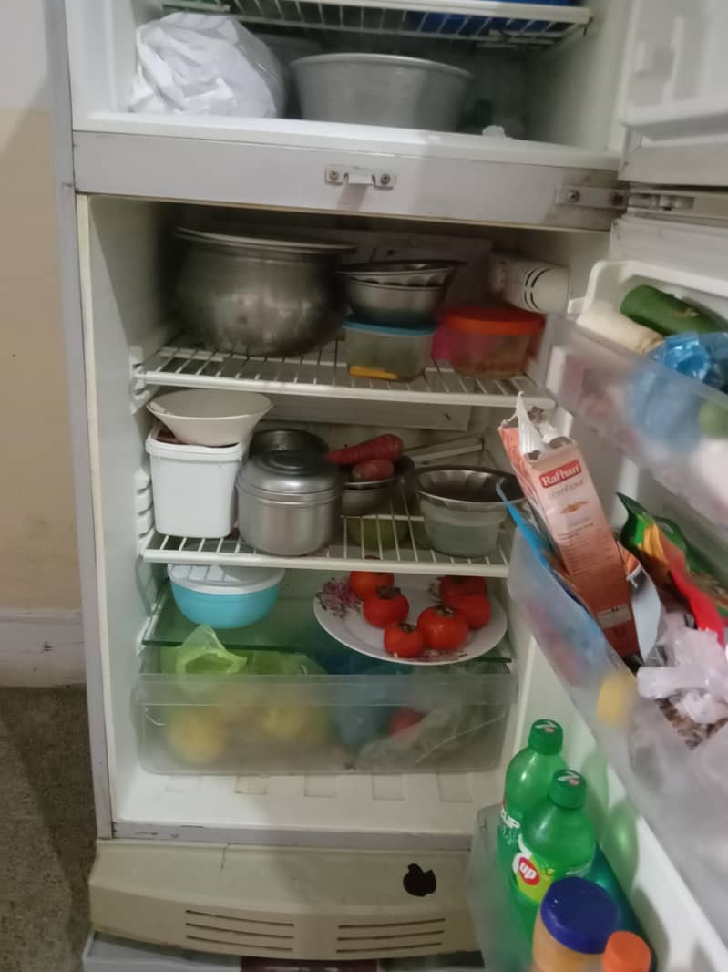 PEL refrigerator 3