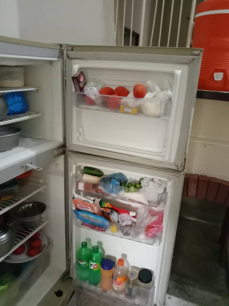 PEL refrigerator 4