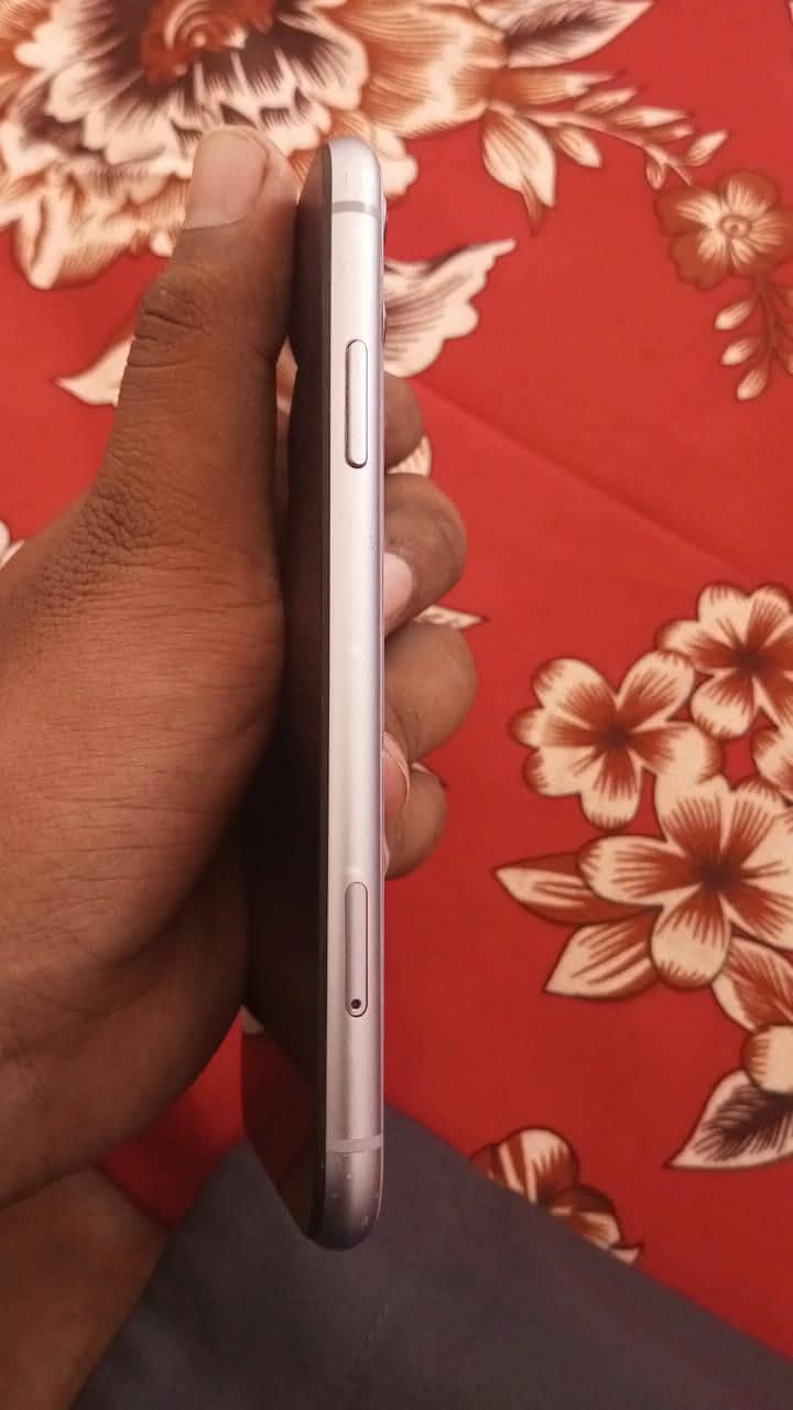 Apple iPhone 11 0