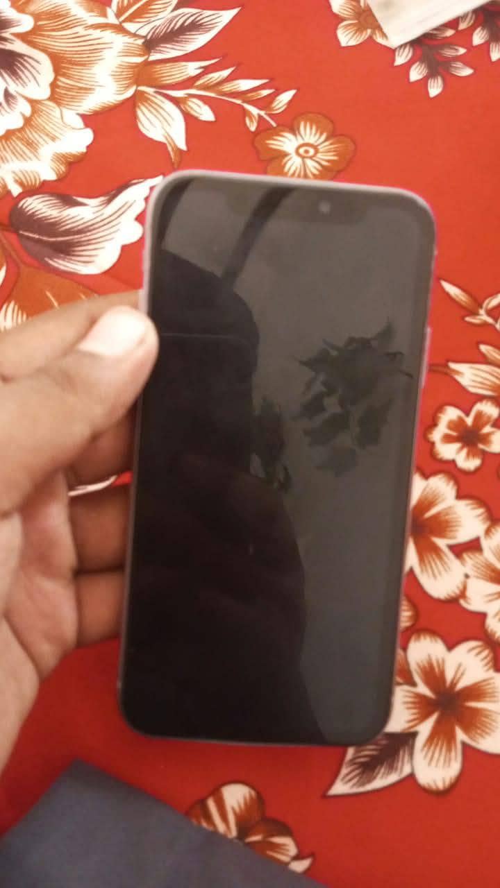 Apple iPhone 11 1