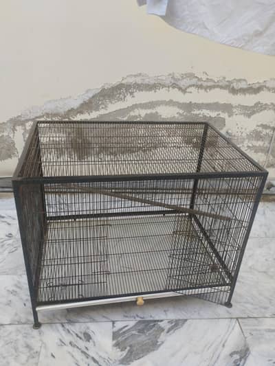 parrot and hen cage