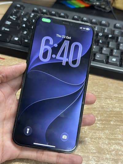 Apple iPhone 12 Pro Max