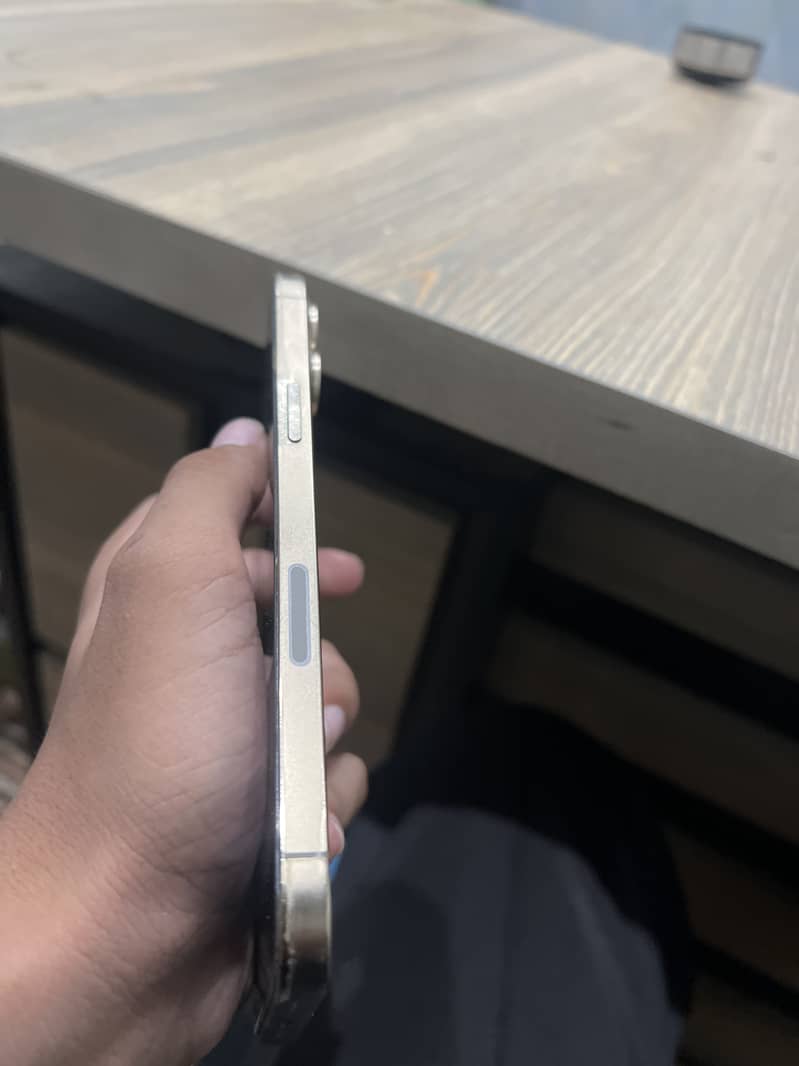Apple iPhone 12 Pro Max 2