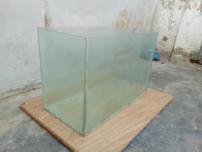 fish ecurium for sal argent