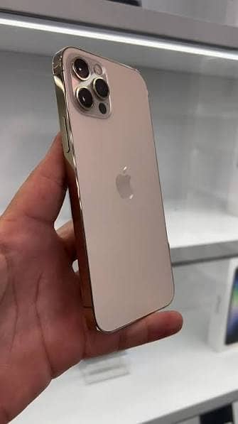 Apple iPhone 12 Pro Max 1