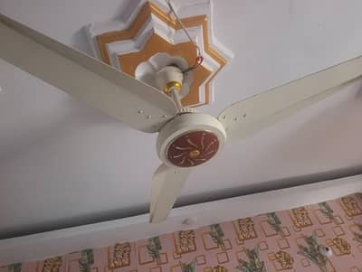 icon khurshid fan