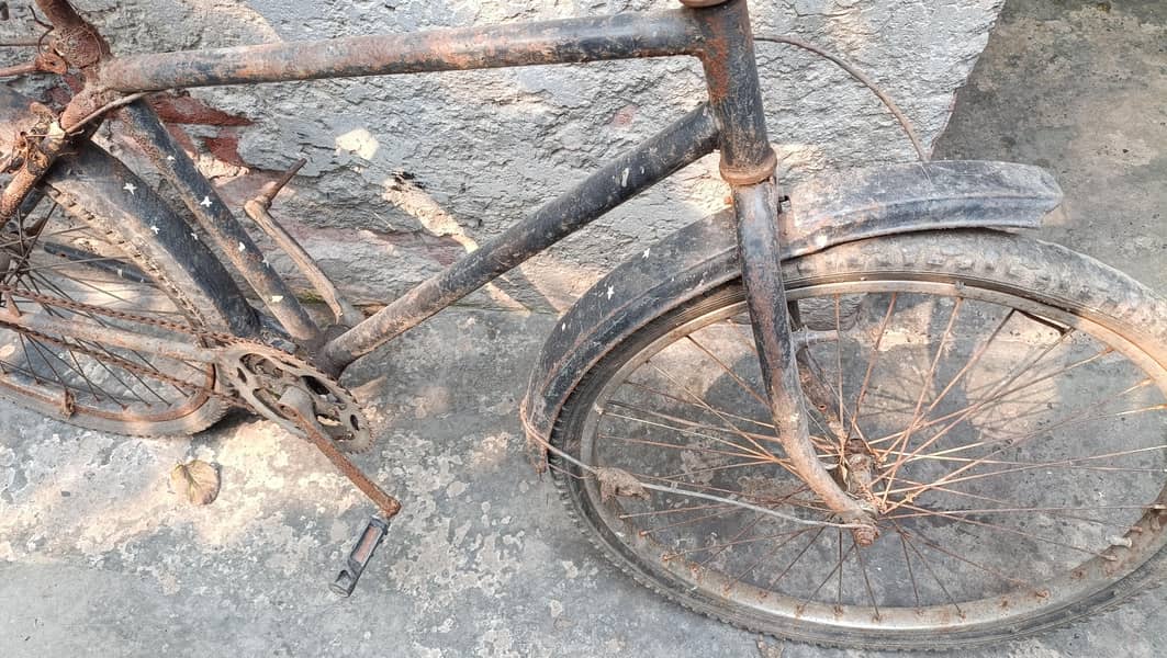 Bicycle 1