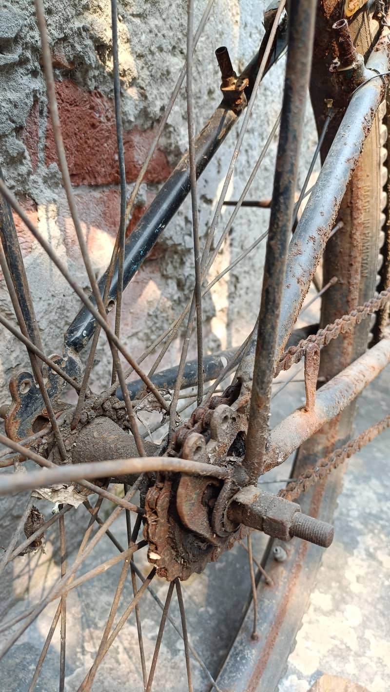 Bicycle 4