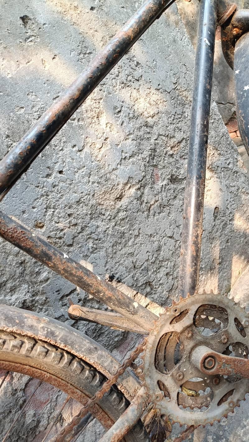 Bicycle 5