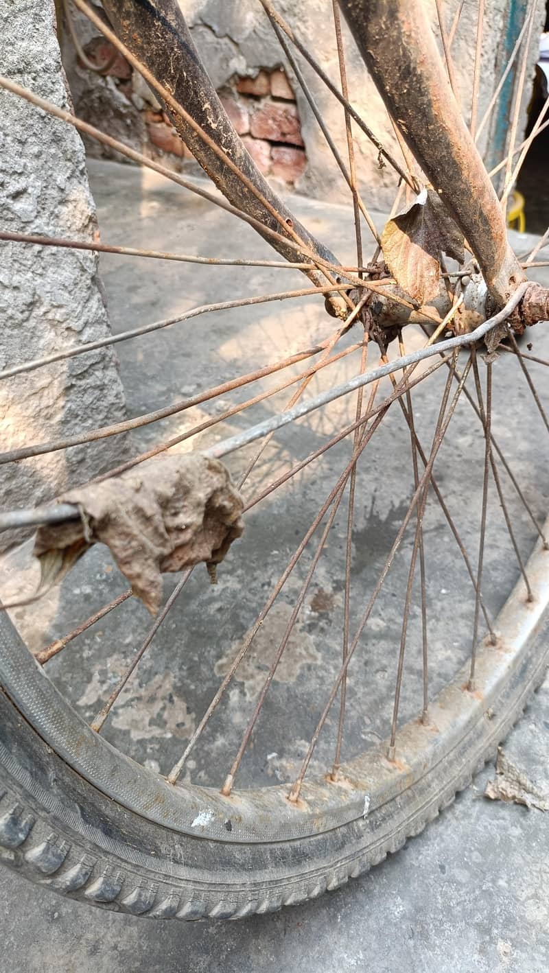 Bicycle 6