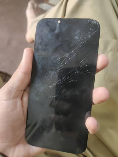 iphone 13pm panel