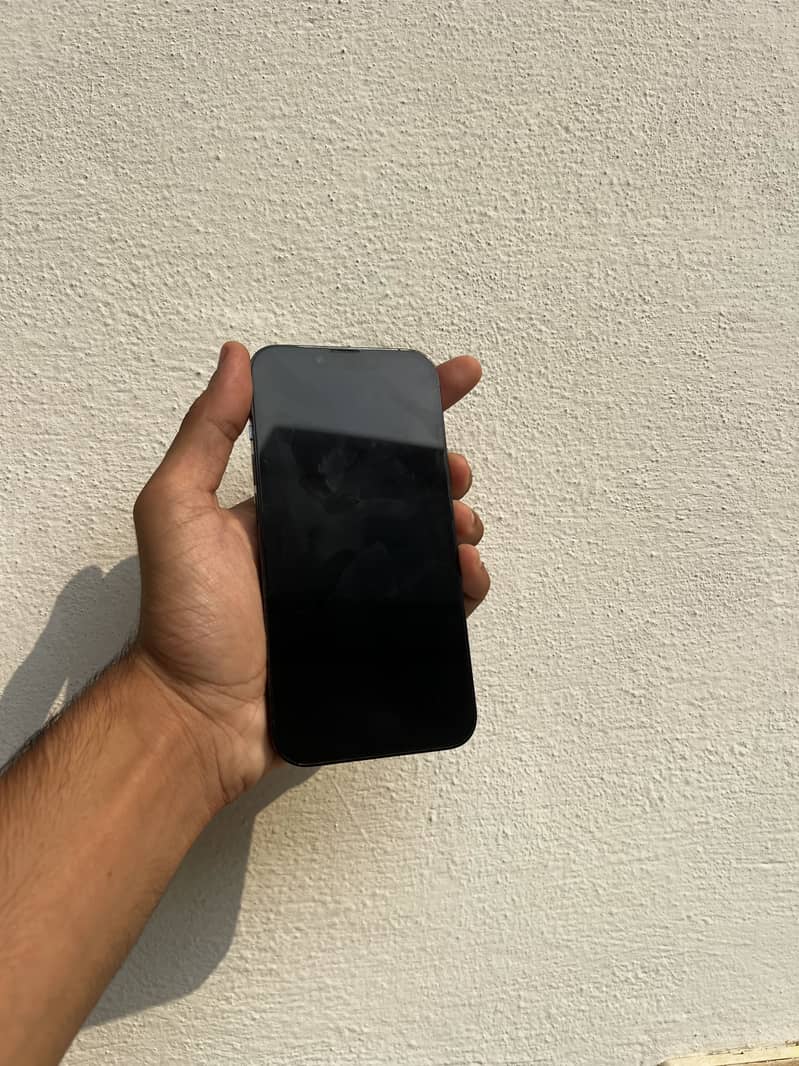 Apple  13 Pro 1