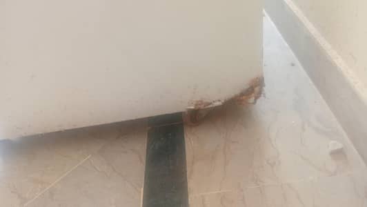 waves freezer