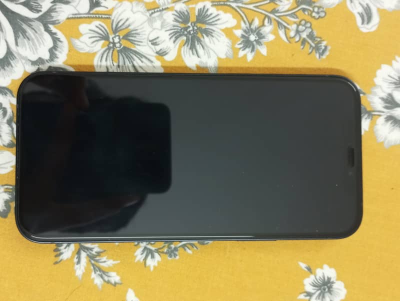 Apple iPhone 12 1