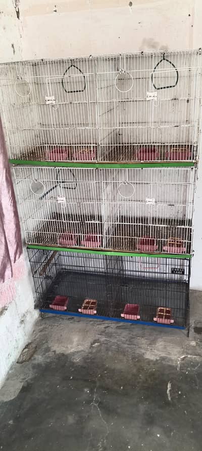 (1.5 x3) cages for parrots