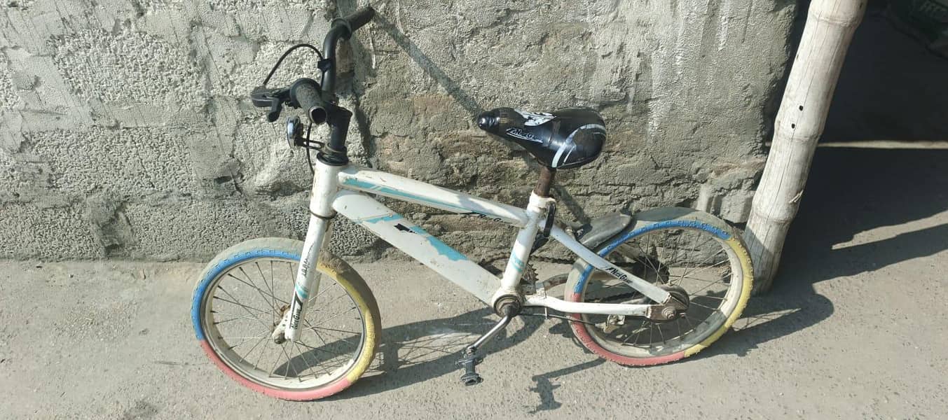 cycle 1